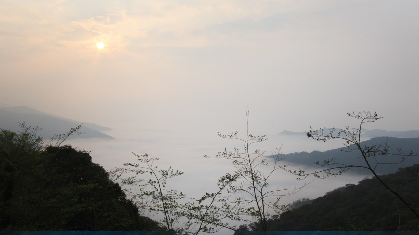 雲海